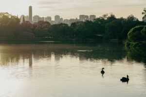 Vista do lago do parque Ibirapuera, em São Paulo